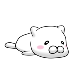 9569086