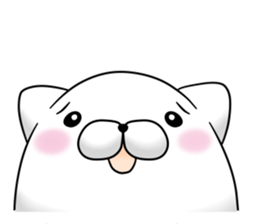 9569093