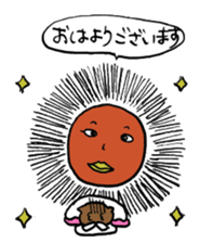 9570039
