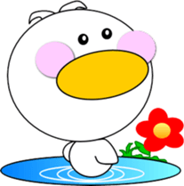 9580048