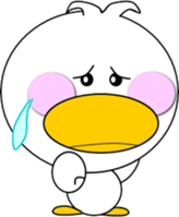9580079