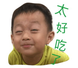 95863428