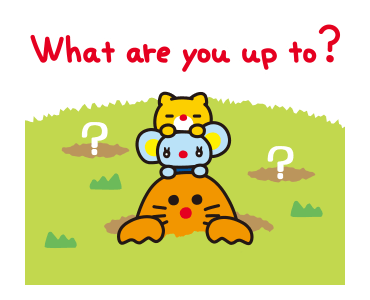 ลายที่ 17