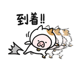 9598801
