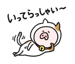 9598809