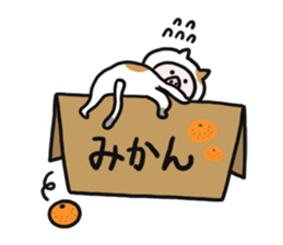 9598832