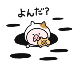 9598834
