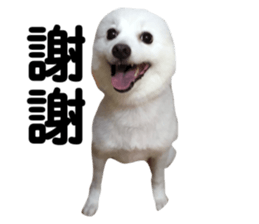 96060750