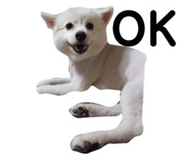 96060754
