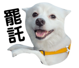 96060765