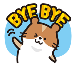 96166