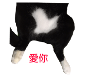 96191489