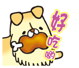 9620041