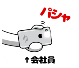 96284447