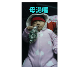 96334481