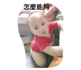 96334493
