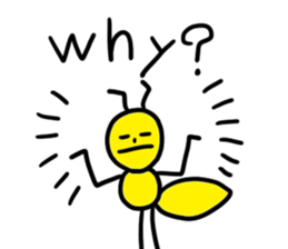 9638838