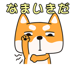 9643909
