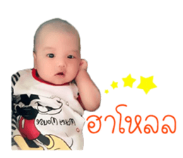 96516310