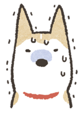 96530