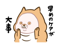 9653981