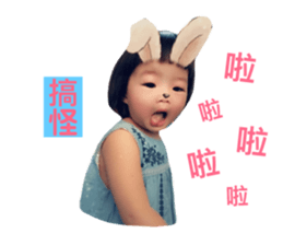 96550360