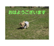 96581394