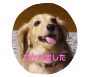 96581395