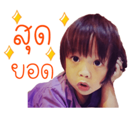 96618636