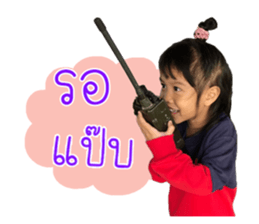 96618655