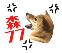 96695836
