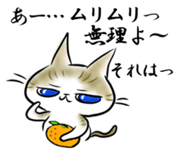 9678217