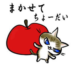 9678226