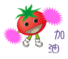9681955