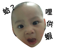 96834281