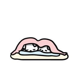 9683544