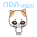 96887474