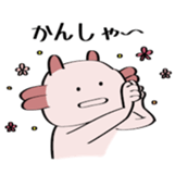 96894006