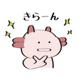 96894007