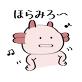 96894009
