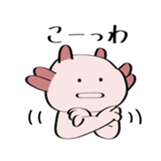 96894017