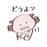 96894018