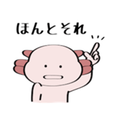 96894020