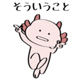 96894037