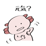 96894843