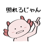 96894848