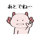 96895795