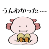 96895806