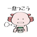 96895807