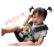 96902337